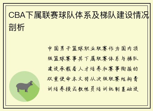 CBA下属联赛球队体系及梯队建设情况剖析