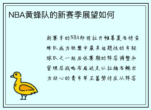 NBA黄蜂队的新赛季展望如何